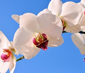 蓟州正规助孕捐卵机构，附正规捐卵机构报名表！